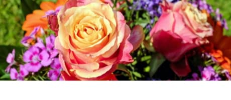 Beautiful Seasonal Flowers Banner